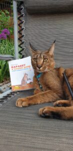 Первая в мире книга о кошках породы каракет