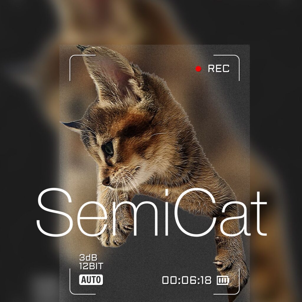 SemiCat